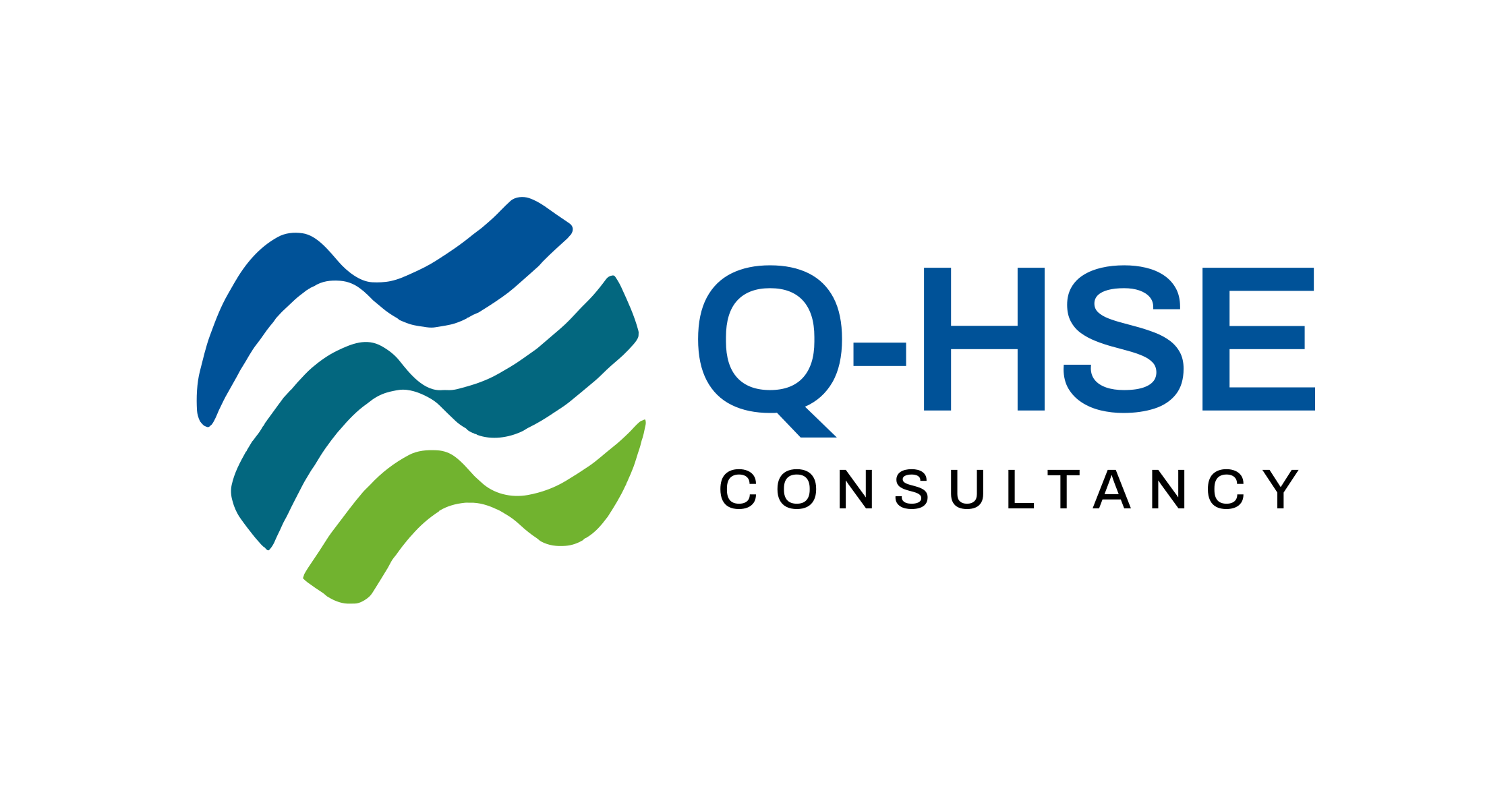 Q-HSE Logo